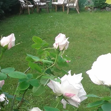 Rosa Bianca Frühstückspension Vercelli